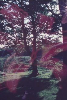 Spem in Alium Trailer