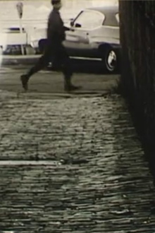 Spider 71-50 Trailer
