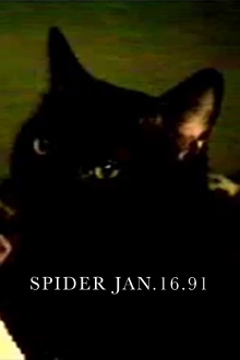 Spider Jan.16.91 Trailer