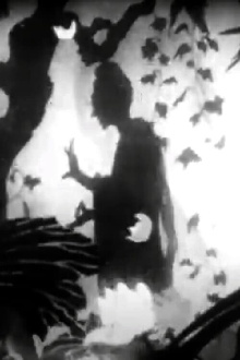 Spider Silk Trailer