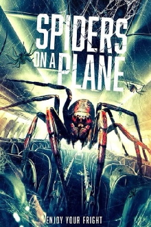 Spiders on a Plane Trailer