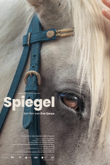 Spiegel Trailer