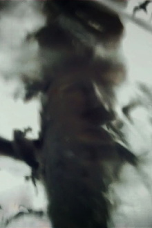 Spirit Stills Trailer