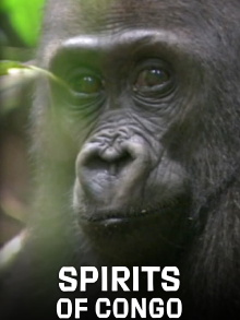 Spirits of Congo Trailer