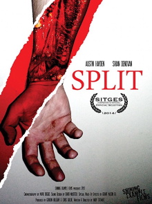 Split Trailer