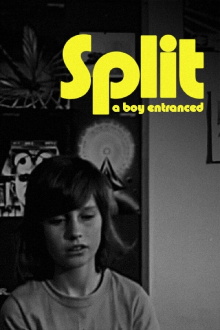 Split Trailer