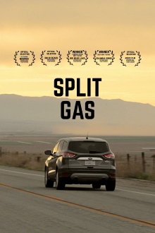 Split Gas Trailer
