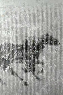 Spring 1999 Trailer