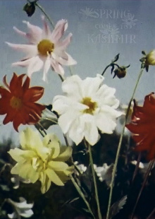 Spring Comes to Kashmir Trailer