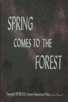 Spring Comes to the Forest Trailer