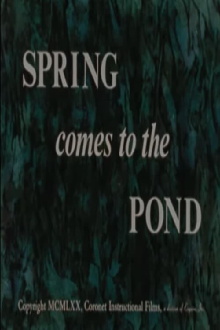 Spring Comes to the Pond Trailer