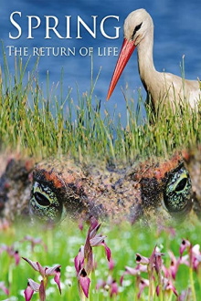 Spring: The Return of Life Trailer