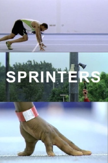 Sprinters Trailer