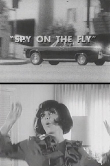 Spy on the Fly Trailer