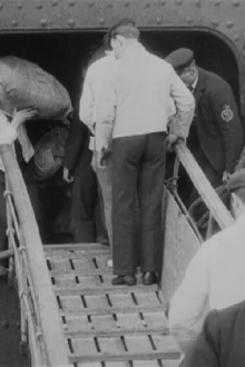 S.S. Saxonia in Liverpool Trailer