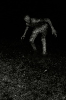 Stalking Trailer