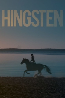 Stallion Trailer