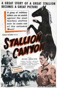 Stallion Canyon Trailer