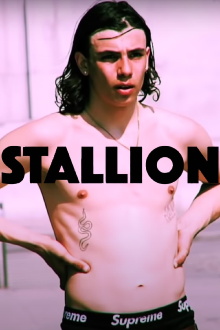 STALLION Trailer