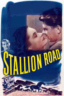 Stallion Road Trailer