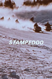 Stampedoo Trailer