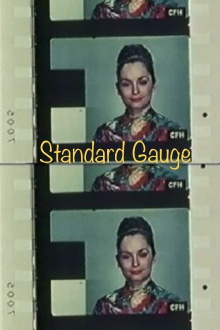 Standard Gauge Trailer