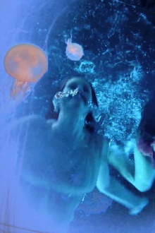 Stargazer Trailer