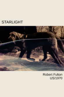 Starlight Trailer