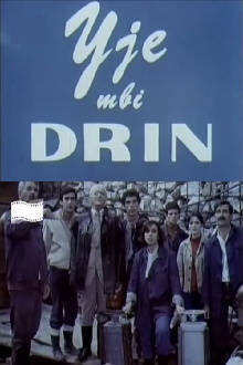 Stars Over the River Drin Trailer