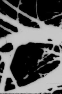 State of Mind Trailer