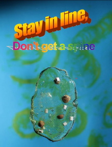 Stay in line, Don't get a spine Trailer