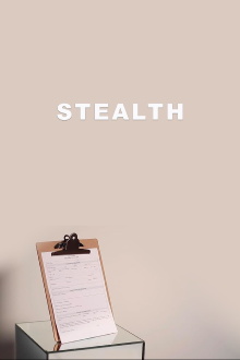 Stealth Trailer