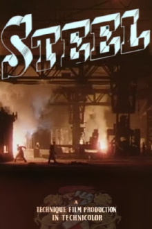 Steel Trailer