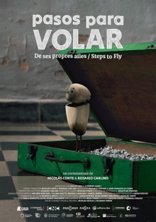 Steps to Fly Trailer