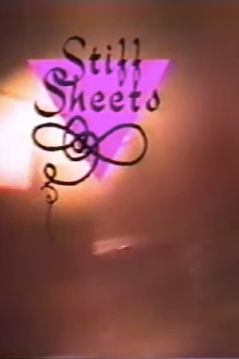 Stiff Sheets Trailer