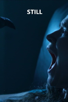 Still Trailer