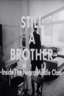 Still A Brother: Inside the Negro Middle Class Trailer