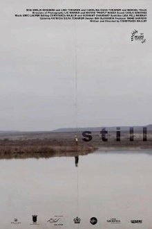 Still Trailer