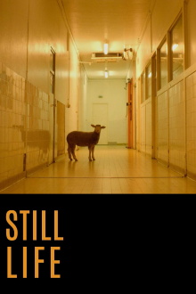 Still Life Trailer