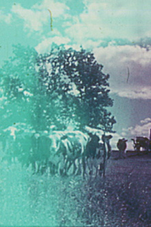 Still Life Trailer