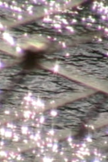 Still or Sparkling Trailer