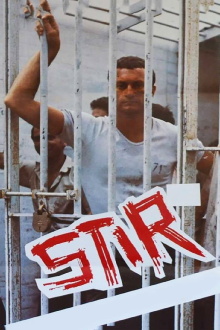 Stir Trailer