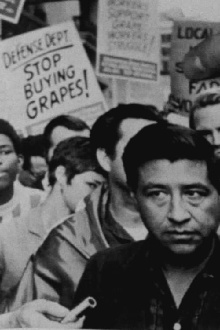 Stop Buying Grapes Trailer