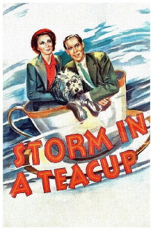 Storm in a Teacup Trailer