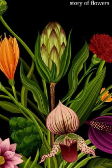 Story of flowers Trailer