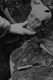 Story of the Unknown Soldier Trailer