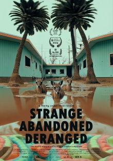 Strange, Abandoned, Deranged Trailer