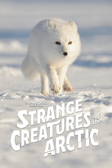 Strange Creatures of the Arctic Trailer