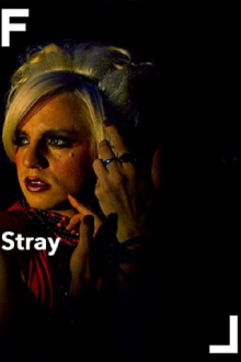 Stray Trailer