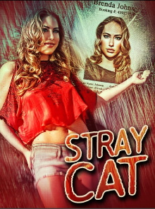 Stray Cat Trailer